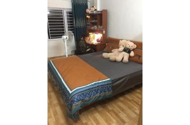 Bán nhà phố Võ Thị Sáu, Thanh Nhàn, Hai Bà Trưng, 30m2 x 4T x 2.7 tỷ, lô góc